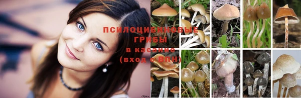скорость Снежногорск