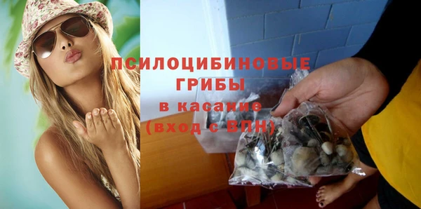 индика Сосновый Бор