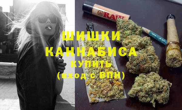 индика Сосновый Бор