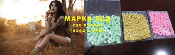 шишки Сосновка