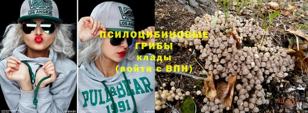 шишки Сосновка
