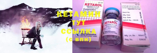 индика Сосновый Бор