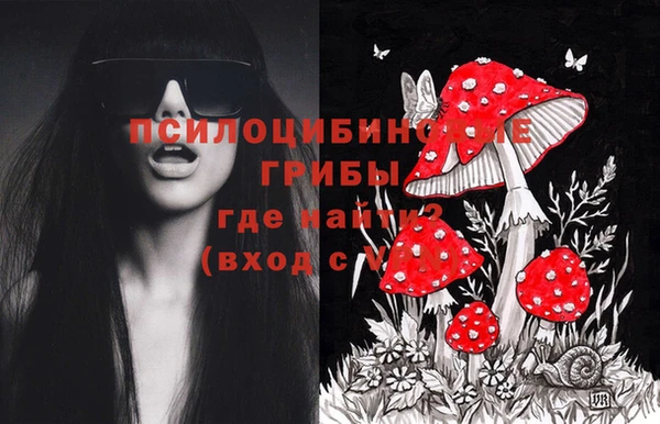 индика Сосновый Бор