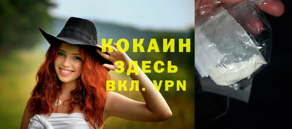 индика Сосновый Бор