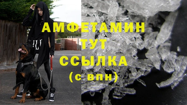 шишки Сосновка