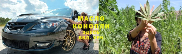 индика Сосновый Бор