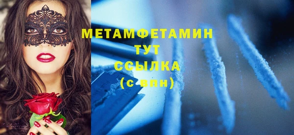 индика Сосновый Бор